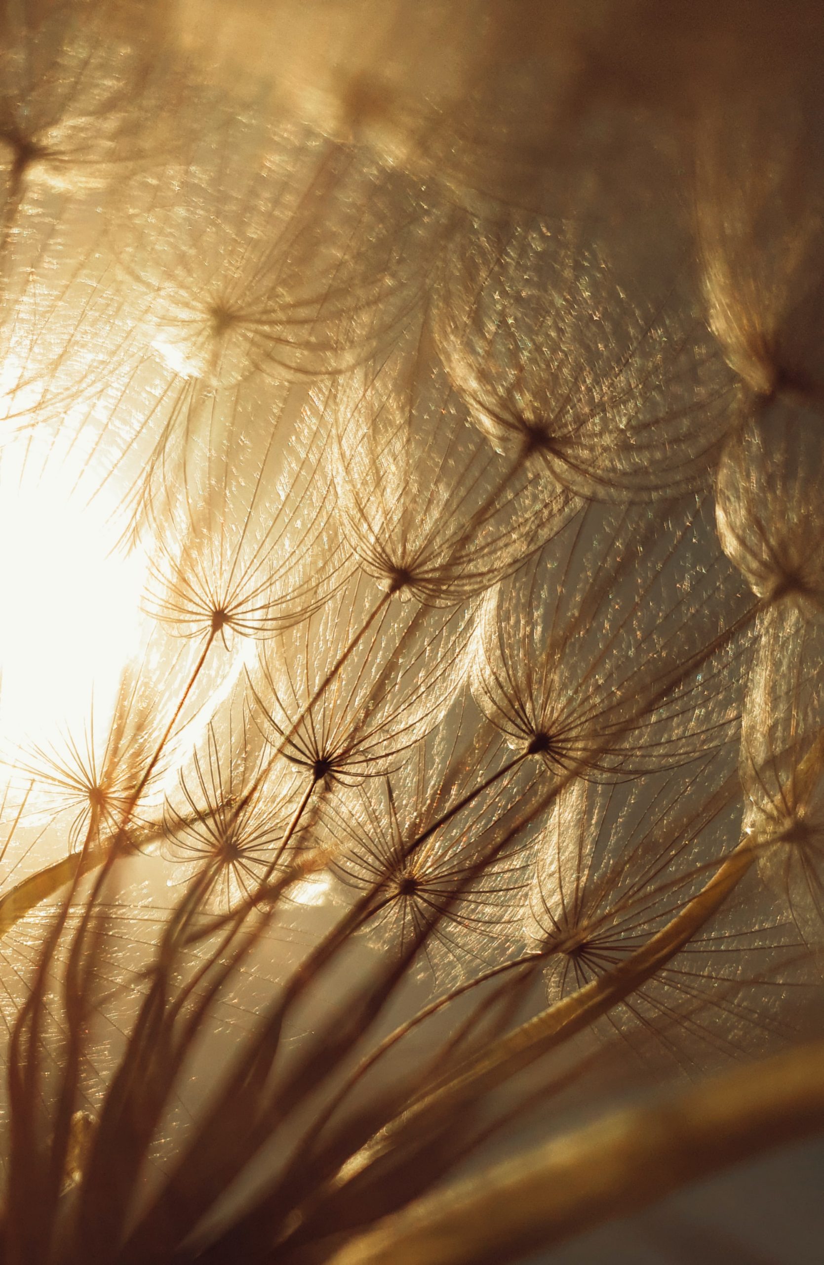 Photo by Hasan Almasi on Unsplash